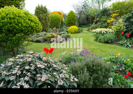 Surbuban garden in late spring with lawn and shrub borders Stock Photo