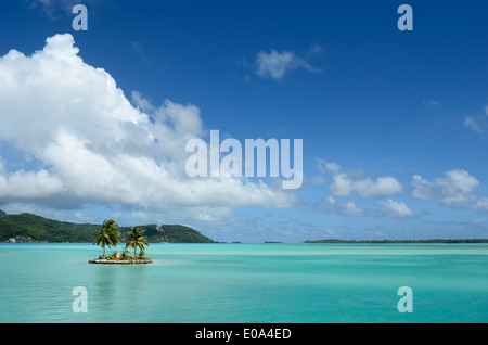Small island with coconut palm trees in the clear water of the blue lagoon of Bora Bora near Tahiti in French Polynesia. Stock Photo