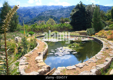 The Botanic Garden (jardi botanic) in Soller, Mallorca, Spain, with mountains behind. Stock Photo