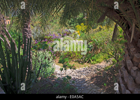 The Botanic Garden (jardi botanic) in Soller, Mallorca, Spain, with mountains behind. Stock Photo