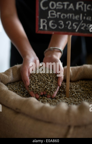 Close up of young female waitress holding coffee beans Stock Photo