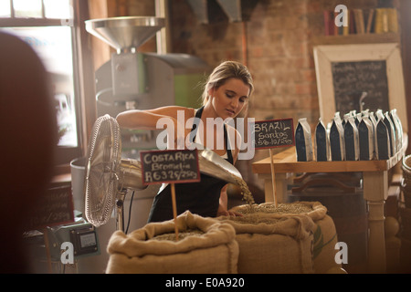 Young woman working in coffee shop, scooping coffee Stock Photo