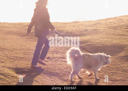 Mid adult woman walking her Pyrenean mountain dog in field Stock Photo