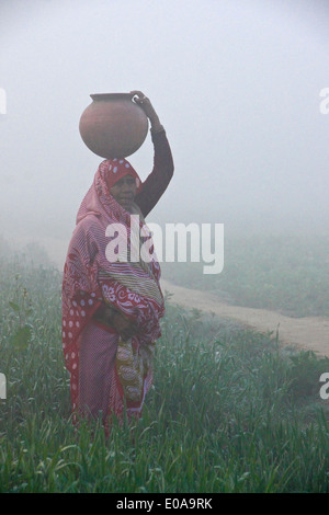 Woman in sari carrying water on a foggy morning in India Stock Photo