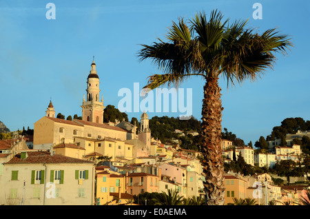 Skyline & View of Old Town or Historic District with Palm Tree Menton Alpes-Maritimes France Stock Photo