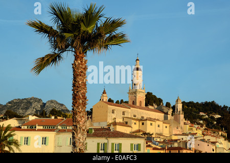 Sunrise over the Historic District or Old Town with Palm Tree Menton Alpes-Maritimes France Stock Photo