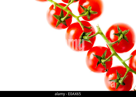a branch of ripe cherry tomatoes isolated over a white background Stock Photo