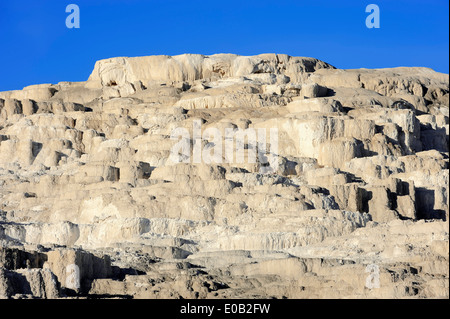 Minerva Terrace, Lower Terraces, Mammoth Hot Springs, Yellowstone national park, Wyoming, USA Stock Photo