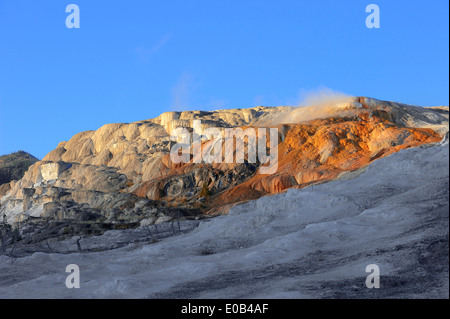 Travertine terrace, Lower Terraces, Mammoth Hot Springs, Yellowstone national park, Wyoming, USA Stock Photo