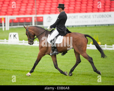 Badminton, UK. 08th May, 2014. Mark Todd [NZL] riding NZB Campino take the early lead during the dressage phase on day one of the 2014 Mitsubishi Motors Badminton Horse Trials. Credit:  Action Plus Sports/Alamy Live News Stock Photo
