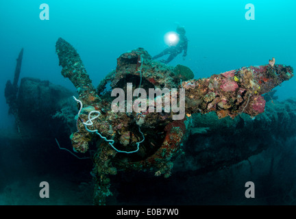 Diver and Mavis Seaplane. Stock Photo