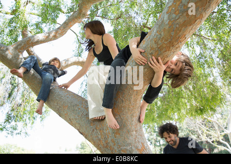 Family with two boys climbing on park tree Stock Photo