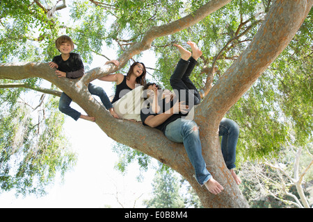 Portrait of family with two boys climbing on park tree Stock Photo