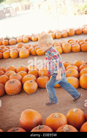 Boy running through pumpkins Stock Photo