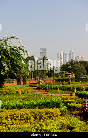 Mumbai Marine Drive Views,Luxury Apartments,Houses,Parsi Towers of Silence,Leafy residential area,Gardens,Mumbai,Bombay,India Stock Photo