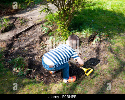 Young boy digging in garden, England, UK. Stock Photo