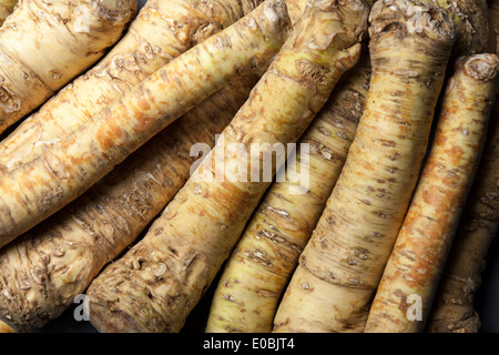 Horseradish roots Stock Photo