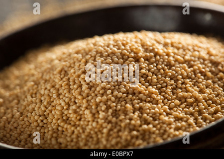 Raw Organic Amaranth Grain in a Bowl Stock Photo