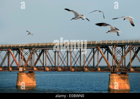 The old Railroad Bridge on the Bahia Honda Key in the Florida keys Stock Photo