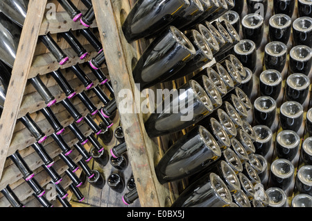 Dusty bottles with brut sparkling wine on wooden rack in winery vault Stock Photo