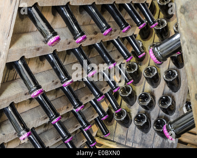 Wood rack stand with bottles of white dry sparkling wine in underground cellar Stock Photo