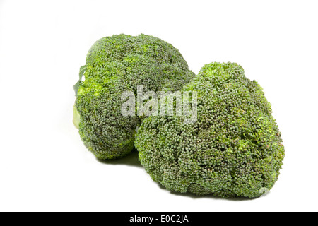 two green heads of broccoli on white background Stock Photo