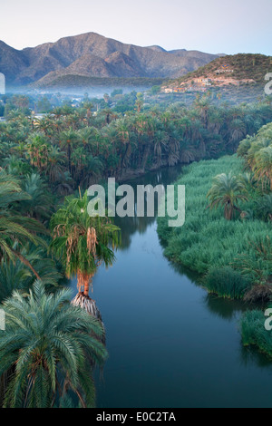 Mulege River and palm trees, Mulege, Baja California Sur, Mexico Stock Photo