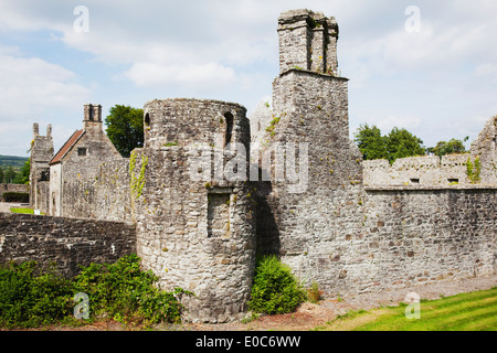 Boyle Abbey; Boyle, County Roscommon, Ireland Stock Photo