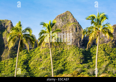 Kalalea Mountains, Kauai, Hawaii, USA Stock Photo