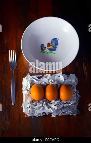 chicken plate chicks a family [chicken and eggs][Telling story humor] [output of the chicken will be eaten] Stock Photo