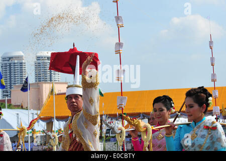 Bangkok, Thailand. 9th May, 2014. The Royal Ploughing ceremony master Chavalit Chookajorn (1st L) throws rice seeds to the field during the Royal Ploughing ceremony in Bangkok, Thailand, May 9, 2014. The ancient ceremony is held every year in Thailand to mark the traditional beginning of the rice growing season. Credit:  Rachen Sageamsak/Xinhua/Alamy Live News Stock Photo
