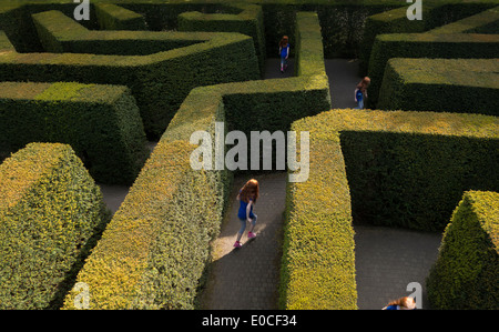 Young girl 11-12 years tween lost in a labyrinth hedge maze by herself playing running looking for the way out Stock Photo