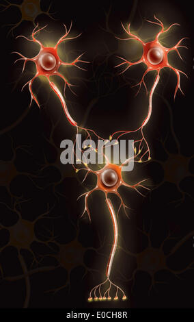 Neuron, drawing Stock Photo