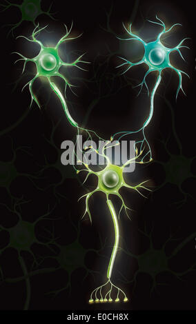 Neuron, drawing Stock Photo