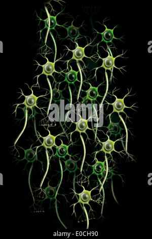 Neuron with axon and dendritic cell nervous system 3d rendering Stock ...