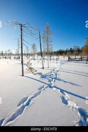 Finland winter landscape Stock Photo