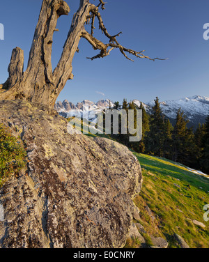 Kalkkoegel from Salfains, Stubai Alps, Tyrol, Austria Stock Photo