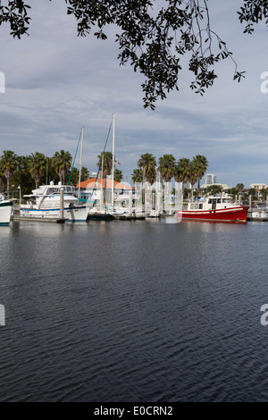 Davis island Yacht Club, Tampa Florida Stock Photo