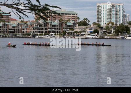 Crew Teams Practicing, Harbour Island from Davis Islands Across the Seddon Channel, Tampa, FL, USA Stock Photo