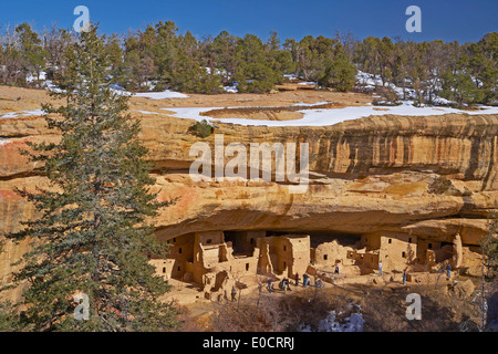 Cliff dwellings at Mesa Verde National Park, Colorado, USA, America Stock Photo