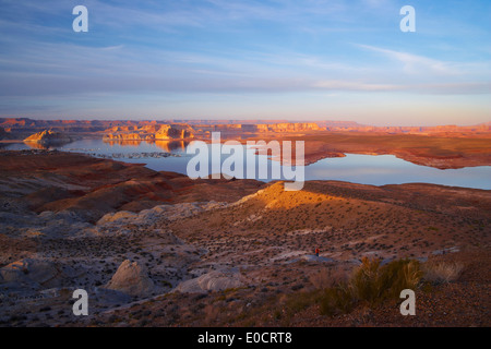 Lake Powell with Wahweap Bay and Wahweap Marina in the evening, Glen Canyon National Recreation Area, Arizona and Utah, USA, Ame