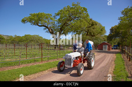 People driving a tractor, Anderson Valley, Mendocino, California, USA, America Stock Photo