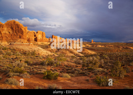 View over Arches National Park, Utah, USA, America Stock Photo