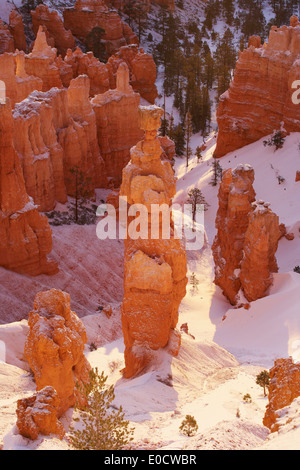 View from Sunset Point into Bryce Amphitheater, Bryce Canyon National Park, Utah, USA, America Stock Photo