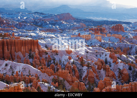 View from Sunset Point into Bryce Amphitheater, Bryce Canyon National Park, Utah, USA, America Stock Photo