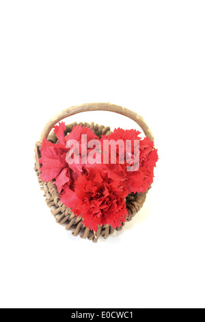 red carnations blossoms in a basket on light background Stock Photo