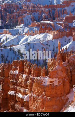 View from Sunset Point into Bryce Amphitheater, Bryce Canyon National Park, Utah, USA, America Stock Photo