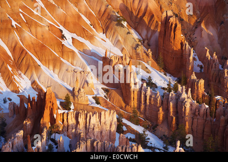 View from Bryce Point into Bryce Amphitheater, Bryce Canyon National Park, Utah, USA, America Stock Photo