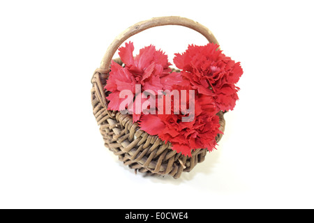 fresh red carnations blossoms in a basket on light background Stock Photo