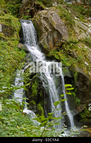 scenery showing the Triberg Waterfalls in the Black Forest in Southern Germany at summer time Stock Photo